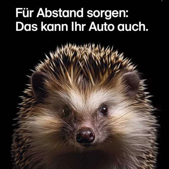 Für Abstand sorgen mir dem Assistenzsystem. Bei uns im VKU